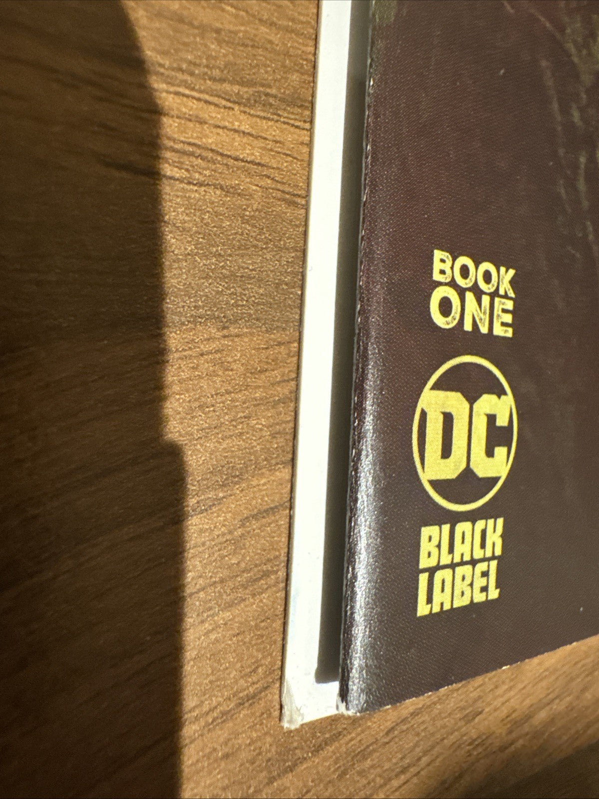 The Riddler : Year One | Paul Dano | DC Comics/Black Label | 2022-Batman