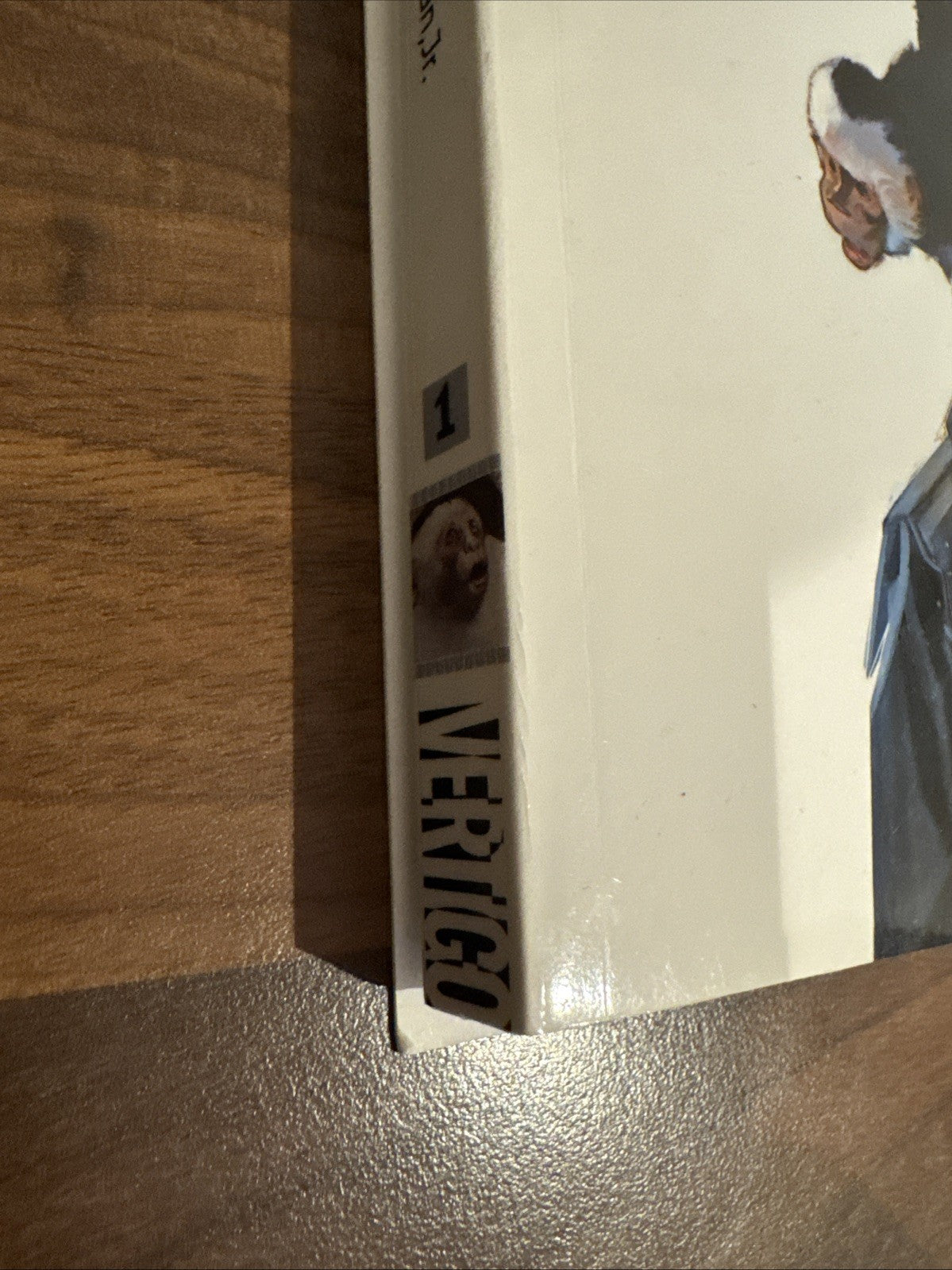 Y the Last Man Volume 1 | Brian K. Vaughan | DC/Vertigo Comics